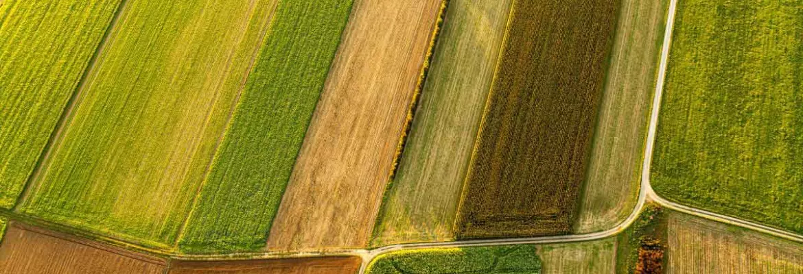 vista aérea de un vibrante mosaico de tierras de labranza con campos de cultivos de cobertura